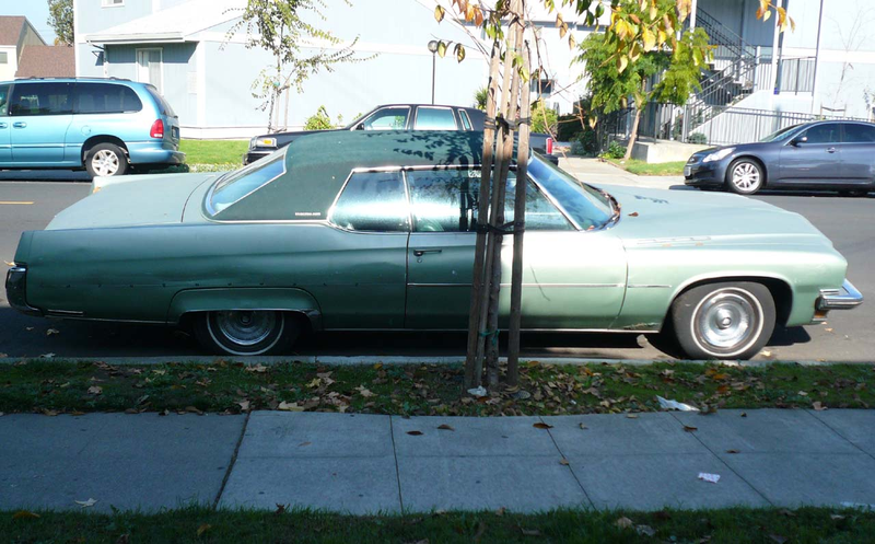Illustration for article titled 1973 Buick Electra 225